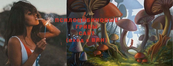 бошки Лагань