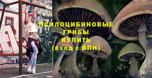 МДПВ Ладушкин