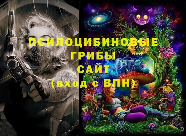 МДПВ Ладушкин