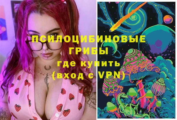 спайс Аркадак
