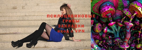 бошки Лагань