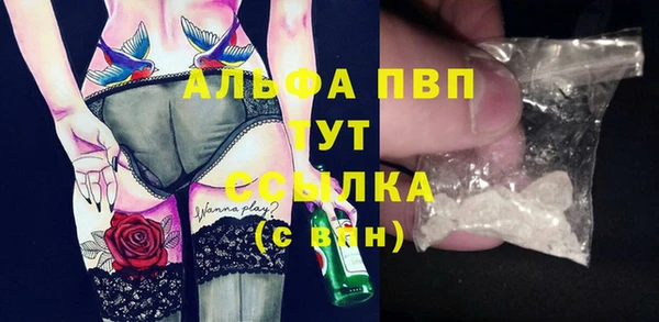 стафф Лабытнанги