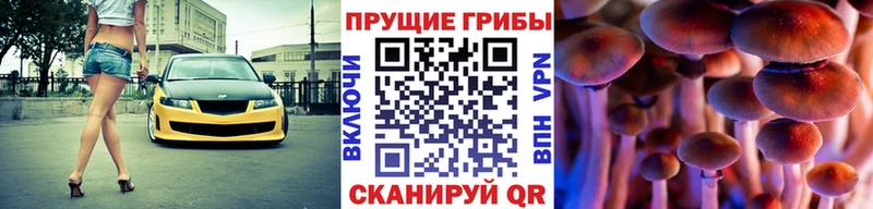 как найти   Староминская  маркетплейс клад  Галлюциногенные грибы ЛСД 